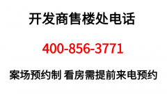 背后是广州市城投集团这一具有雄厚实力的国企
